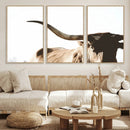 Texas Longhorn Wall Art Canvas Print | 3-Panel Large