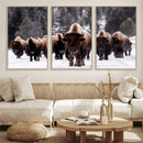 Bison Wall Art Canvas Print- Bison Herd Canvas Wall Art –