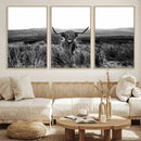 Black and White Highland Cow Canvas Wall Art, Longhorn by MyGreatCanvas | Canvas Wall Art Prints | Photo Prints & Wall Decor