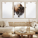 Bison Winter Wall Art Canvas Print For Farmhouse Decor