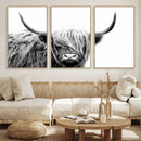 Black White Scottish Highland Cow Cattle Art Print Farmhouse