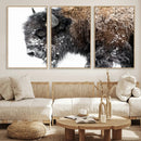American Bison Wall Art Print – Majestic Buffalo Canvas