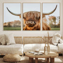 Highland Cow Animal Scottish Cattle Art Print Farmhouse Wall