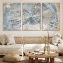 Radiant Abstract Wood Rings Canvas Art – Modern Triptych by MyGreatCanvas | Canvas Wall Art Prints | Photo Prints & Wall Decor