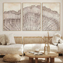 Tree Ring Wall Art Triptych, Rustic Wood Ring Canvas Print,