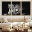 Lion Couple Wall Art Canvas Print – Elegant Black and White