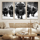 American Bison Art | Buffalo Herd Wall Art Canvas Print, BW