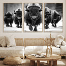 American Bison Art | Buffalo Herd Wall Art Canvas Print, BW