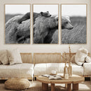 Bear and Cub Wall Art Canvas | 399 Bear Cub
