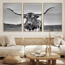 Texas Longhorn Cow Wall Art, Texas Longhorn Canvas, Cattle