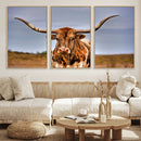 Texas Longhorn Wall Art Print, Framed Longhorn Cow Wall Art