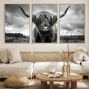 Scottish Cow Wall Art Canvas Print | Longhorn Wall Art |