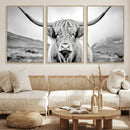 Scottish Cow Wall Art Canvas Print