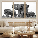 Black White Elephant Family Wall Art Canvas Print