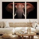 Wild Elephant Wall Art Canvas Print, Africa Savannah Wild by MyGreatCanvas | Canvas Wall Art Prints | Photo Prints & Wall Decor