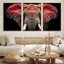 Elephant Wall Art Canvas Print