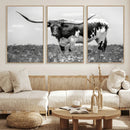 Texas Black White Highland Longhorn Cow Wall Art Canvas by MyGreatCanvas | Canvas Wall Art Prints | Photo Prints & Wall Decor