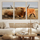 Highland Cow Canvas Wall Art Animal Print for Farm House