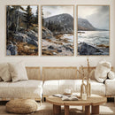 Serene Coastal View of Acadia National Park - Stunning