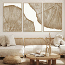 Rustic Brown Tree Ring Wall Art Canvas Print – Framed and