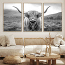 Black White Scottish Highland Cow Canvas Farm Wall Art by MyGreatCanvas | Canvas Wall Art Prints | Photo Prints & Wall Decor