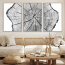 Rustic Tree Ring Wall Art Canvas Print – Framed and Ready to