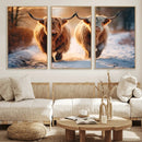 Scottish Highland Cow Horn Farm Wall Art Canvas Print