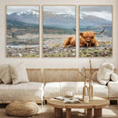 Highland Cow Horn Farm Wall Art Canvas Print