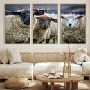 Charming Sheep Portrait Wall Art – Trio of Woolly Companions by MyGreatCanvas | Canvas Wall Art Prints | Photo Prints & Wall Decor