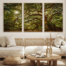 Ancient Angel Oak Tree Art Sunburst Canvas Print- by MyGreatCanvas | Canvas Wall Art Prints | Photo Prints & Wall Decor