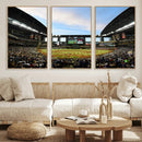 Arizona Diamondbacks Team Print - Phoenix Chase Field