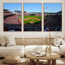 Cincinnati Reds Baseball Canvas Print - American Ball