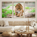 Leopard on the Prowl - Stunning Large Framed Leopard Wall