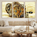 Blue-Eyed Leopard Canvas Wall Art - Framed Animal Print