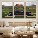 Football Stadium Wall Art – Framed Sports Field Canvas by MyGreatCanvas | Canvas Wall Art Prints | Photo Prints & Wall Decor