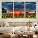 Golden Sunflower Field at Sunset – Breathtaking Sky and