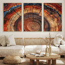 Abstract Tree Ring Art, Colorful Tree Ring Wall Decor, by MyGreatCanvas | Canvas Wall Art Prints | Photo Prints & Wall Decor