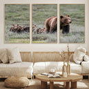 Wildlife Photography of 399 Grizzly Bear Cubs | Queen of the