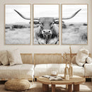 Highland Cow Wall Art Canvas Print – Black and White Western