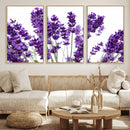 Lavender Flower Wall Art Canvas Print by MyGreatCanvas | Canvas Wall Art Prints | Photo Prints & Wall Decor