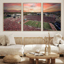 Indiana Memorial Stadium Wall Art Canvas Print, Framed
