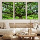 Oak Tree Wall Art Print, Forest Canvas Wall Art for Home and by MyGreatCanvas | Canvas Wall Art Prints | Photo Prints & Wall Decor