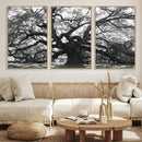 Ancient Oak Wall Art Canvas Print, Majestic Twisted Branches by MyGreatCanvas | Canvas Wall Art Prints | Photo Prints & Wall Decor