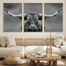 Texas Longhorn Wall Art Canvas Print – Framed Western Bull