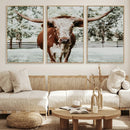 Texas Longhorn Wall Art Canvas Print – Framed Spotted Bull