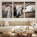 Texas Longhorn Wall Art Canvas Print – Framed Spotted Bull
