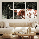 Texas Longhorn Wall Art Canvas Print – Framed Spotted Bull by MyGreatCanvas | Canvas Wall Art Prints | Photo Prints & Wall Decor