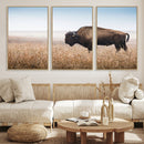 Wild Bison Wall Art – Framed Prairie Landscape Canvas by MyGreatCanvas | Canvas Wall Art Prints | Photo Prints & Wall Decor