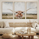 Texas Longhorn Wall Art Canvas Print – Framed Western Cow