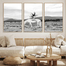 White Horse Wall Art Canvas Print – Framed Woman Rider